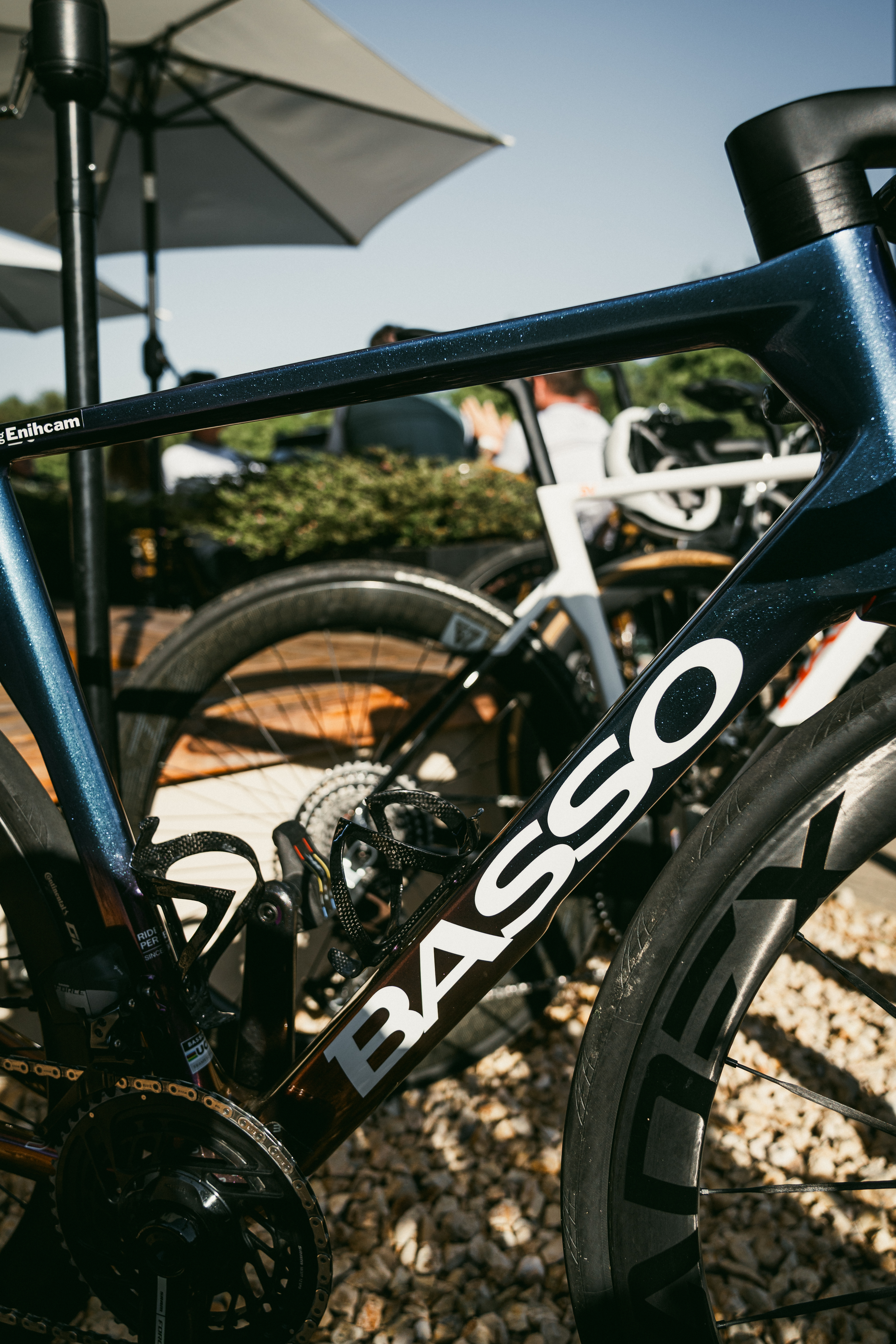 BASSO SV